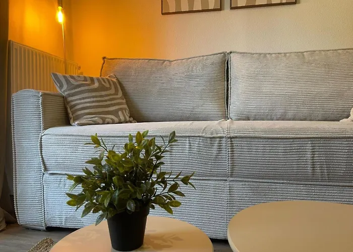 The Parenthèse De Foch