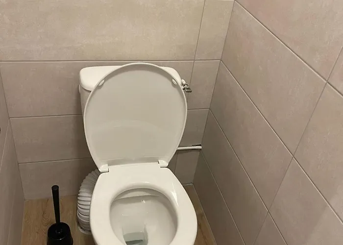 The Parenthèse De Foch *